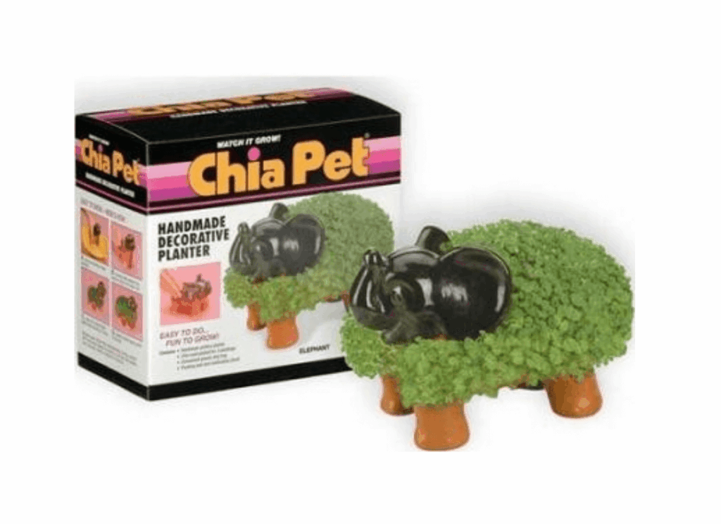 Elephant Chia Pet next to its box