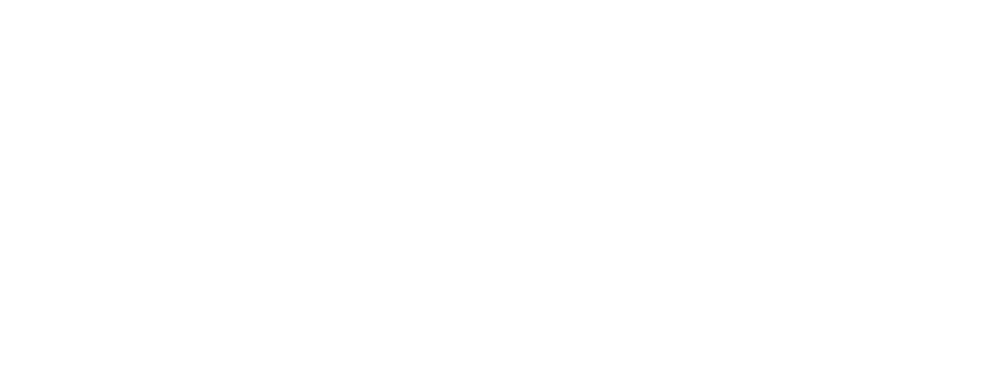 Bausch + Lomb logo