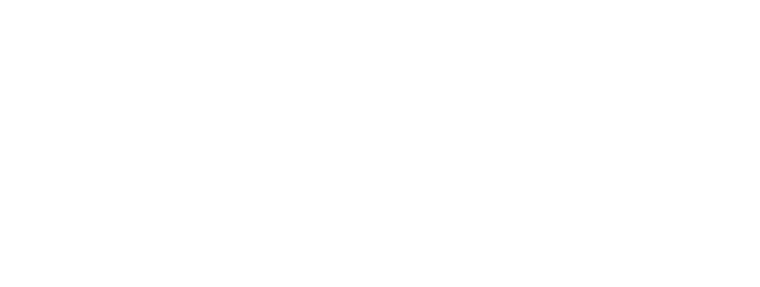 CashnetUSA logo